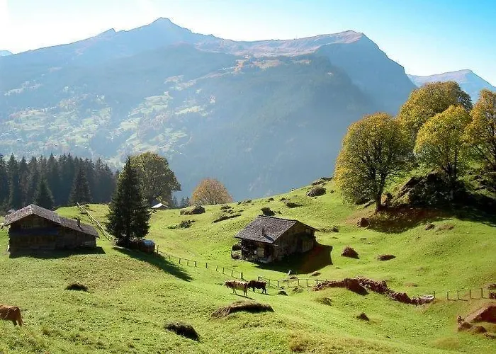 Aphrodite West Magnificent Eiger View Appartamento Grindelwald