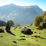 Aphrodite West Magnificent Eiger View Apartman Grindelwald